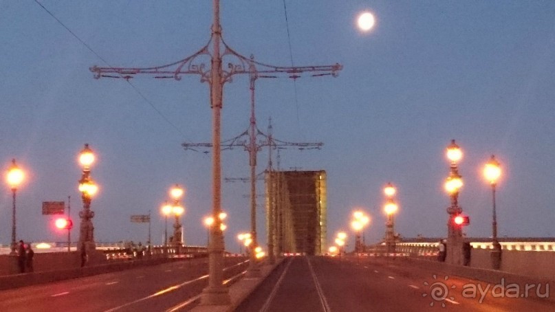 Ботанический сад в Санкт-Петербурге интересен круглый год.