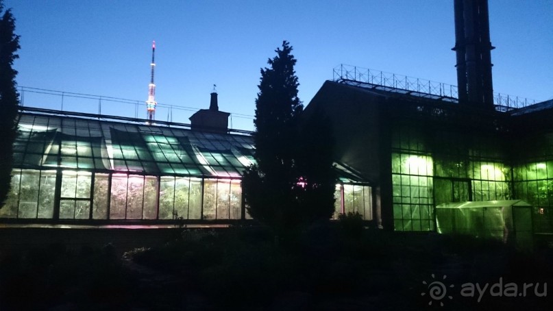 Ботанический сад в Санкт-Петербурге интересен круглый год.