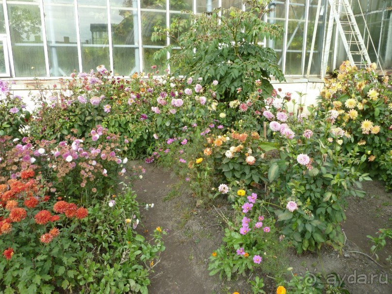 Ботанический сад в Санкт-Петербурге интересен круглый год.