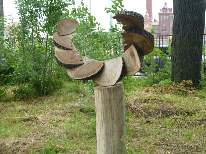 Ботанический сад в Санкт-Петербурге интересен круглый год.