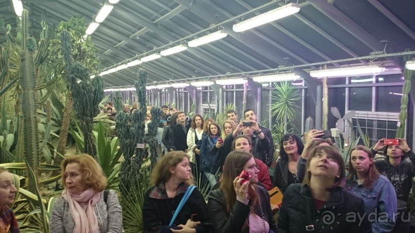 Ботанический сад в Санкт-Петербурге интересен круглый год.