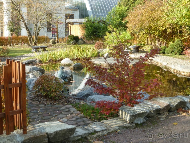 Ботанический сад в Санкт-Петербурге интересен круглый год.