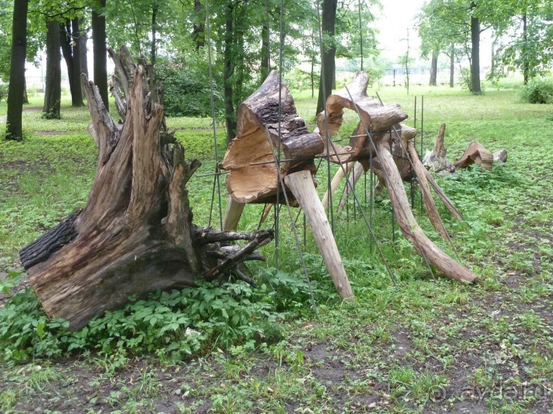 Ботанический сад в Санкт-Петербурге интересен круглый год.