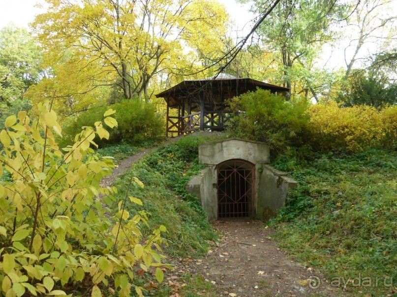Ботанический сад в Санкт-Петербурге интересен круглый год.