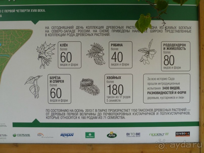 Ботанический сад в Санкт-Петербурге интересен круглый год.