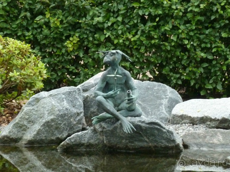 Ботанический сад в Санкт-Петербурге интересен круглый год.