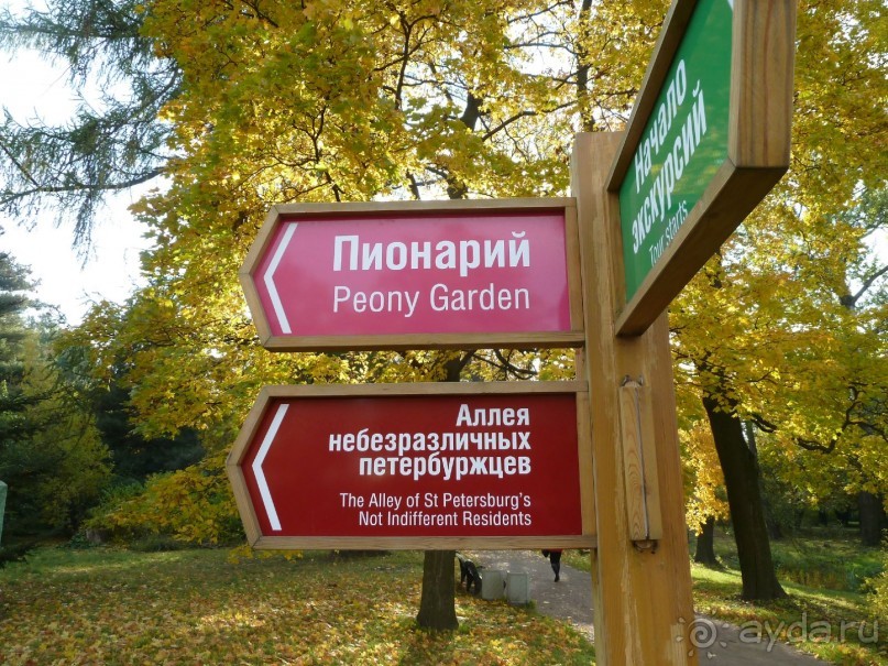 Ботанический сад в Санкт-Петербурге интересен круглый год.