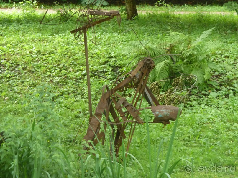 Ботанический сад в Санкт-Петербурге интересен круглый год.