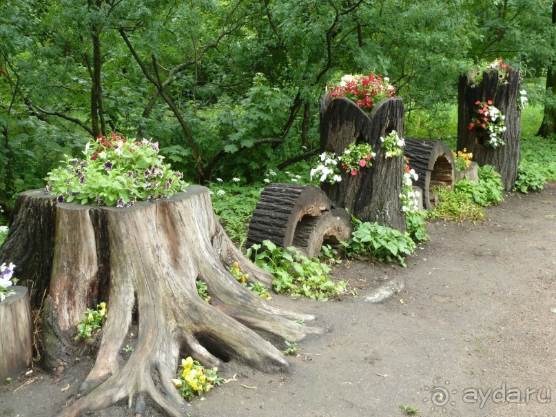 Ботанический сад в Санкт-Петербурге интересен круглый год.