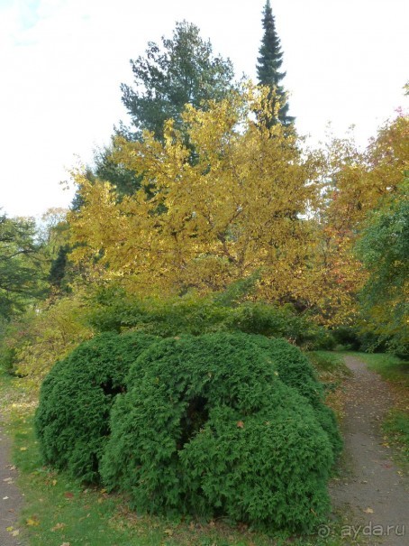 Ботанический сад в Санкт-Петербурге интересен круглый год.