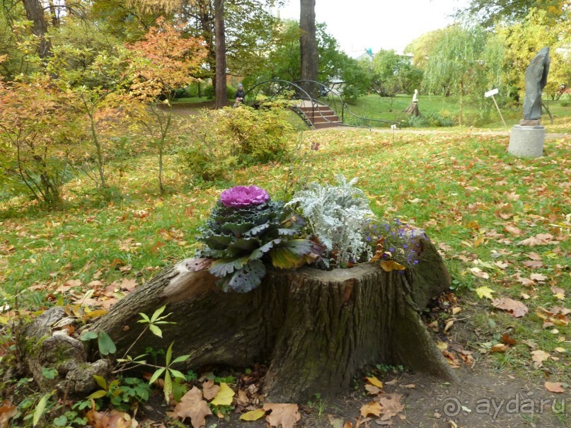 Ботанический сад в Санкт-Петербурге интересен круглый год.