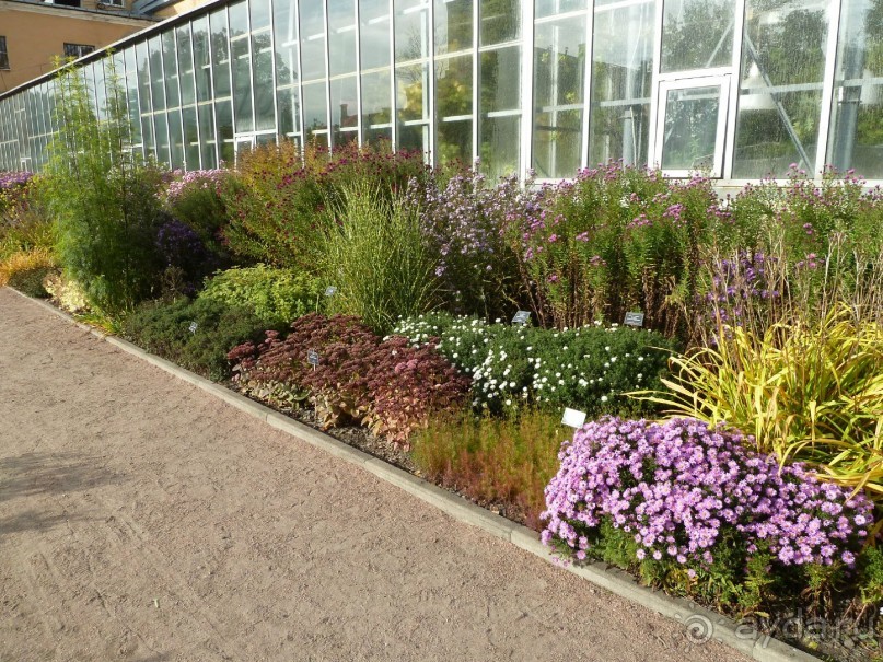 Ботанический сад в Санкт-Петербурге интересен круглый год.