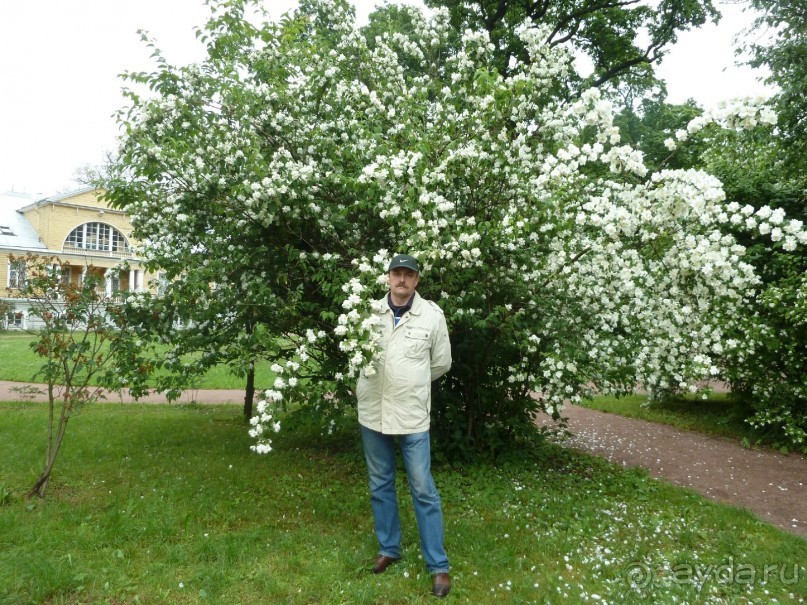 Ботанический сад в Санкт-Петербурге интересен круглый год.