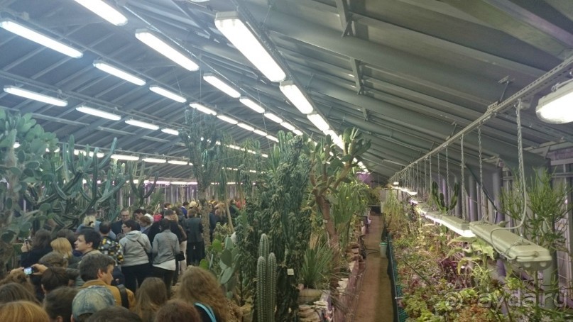 Ботанический сад в Санкт-Петербурге интересен круглый год.