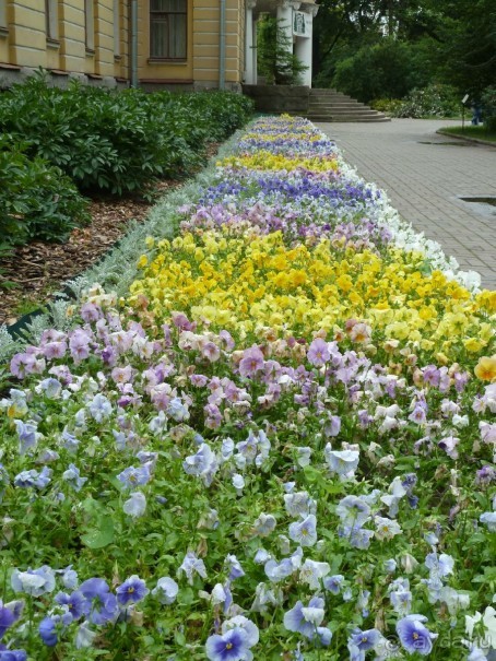 Ботанический сад в Санкт-Петербурге интересен круглый год.