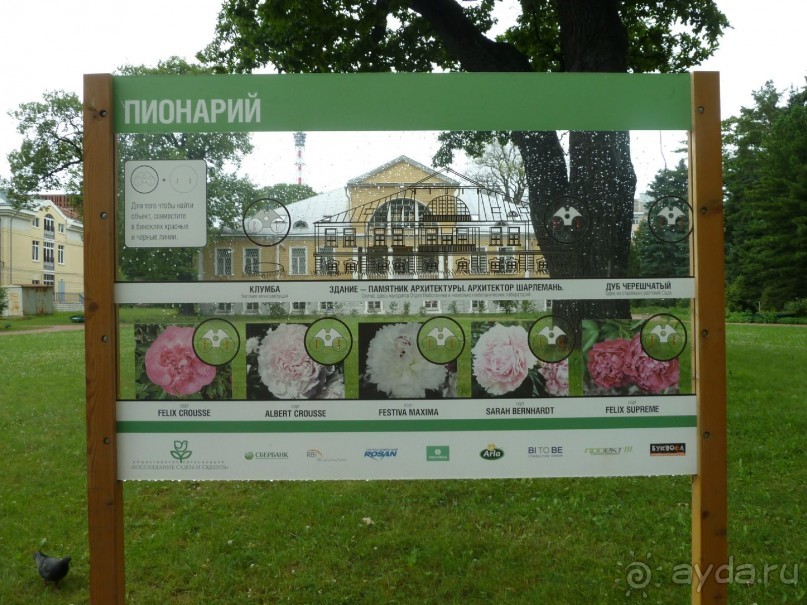 Ботанический сад в Санкт-Петербурге интересен круглый год.