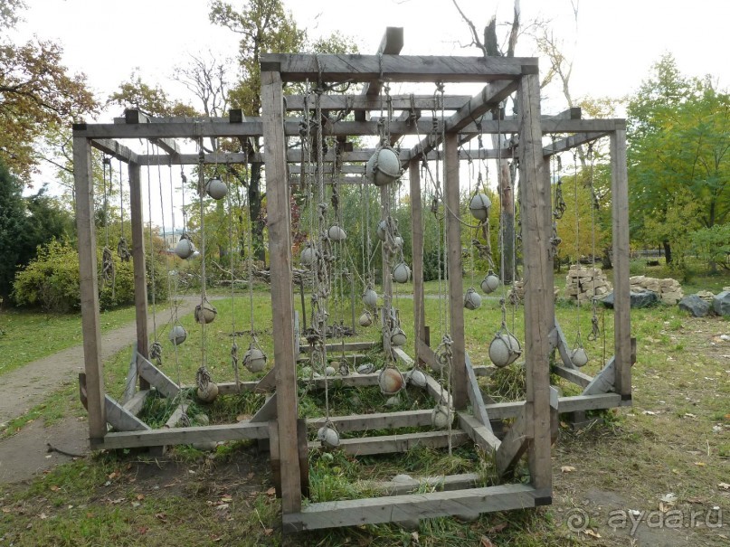 Ботанический сад в Санкт-Петербурге интересен круглый год.