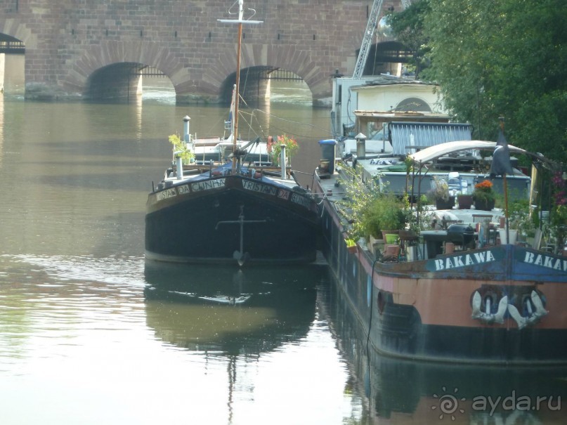 Каков на вкус Страсбургский пирог?