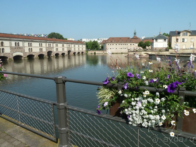 Каков на вкус Страсбургский пирог?