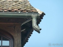 Каков на вкус Страсбургский пирог?