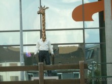 Каков на вкус Страсбургский пирог?