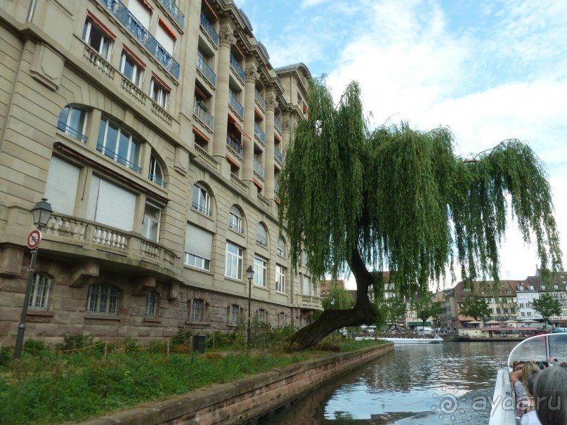 Каков на вкус Страсбургский пирог?