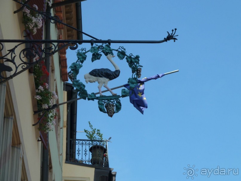 Каков на вкус Страсбургский пирог?