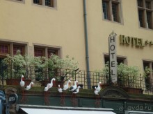 Каков на вкус Страсбургский пирог?