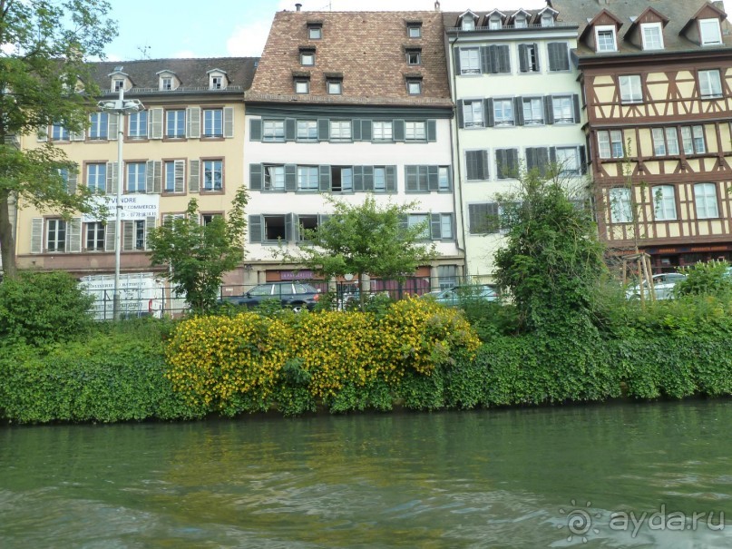 Каков на вкус Страсбургский пирог?