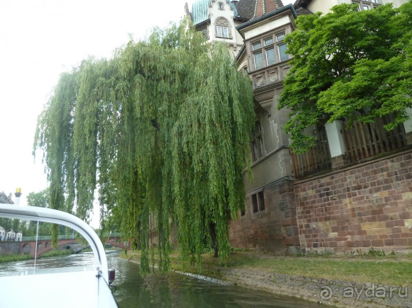 Каков на вкус Страсбургский пирог?