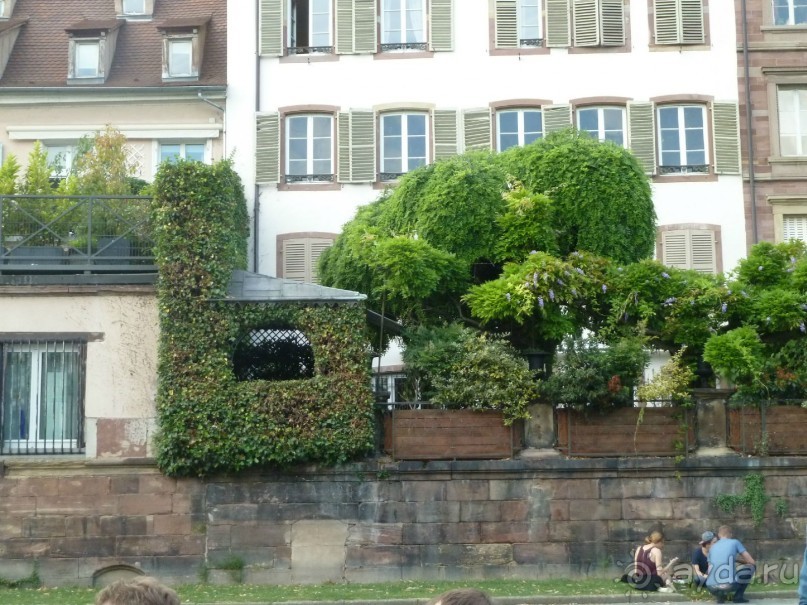 Каков на вкус Страсбургский пирог?