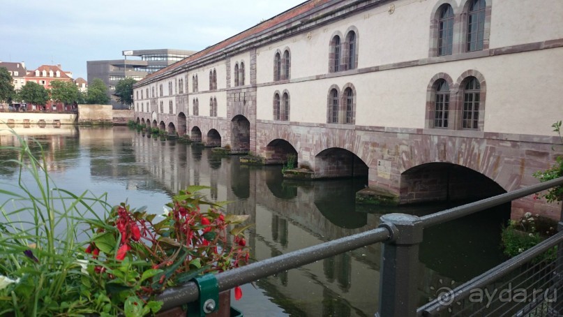 Каков на вкус Страсбургский пирог?