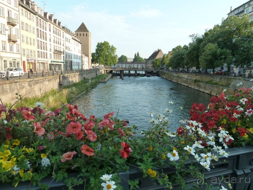 Каков на вкус Страсбургский пирог?