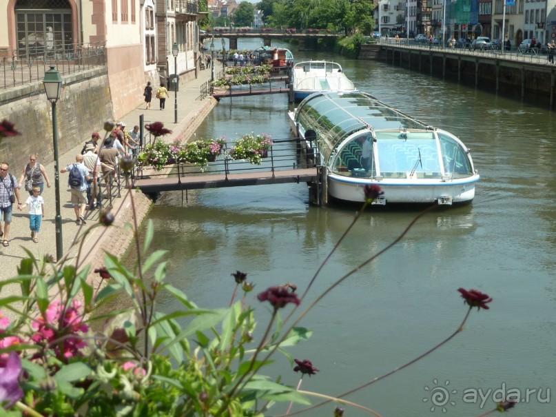 Каков на вкус Страсбургский пирог?