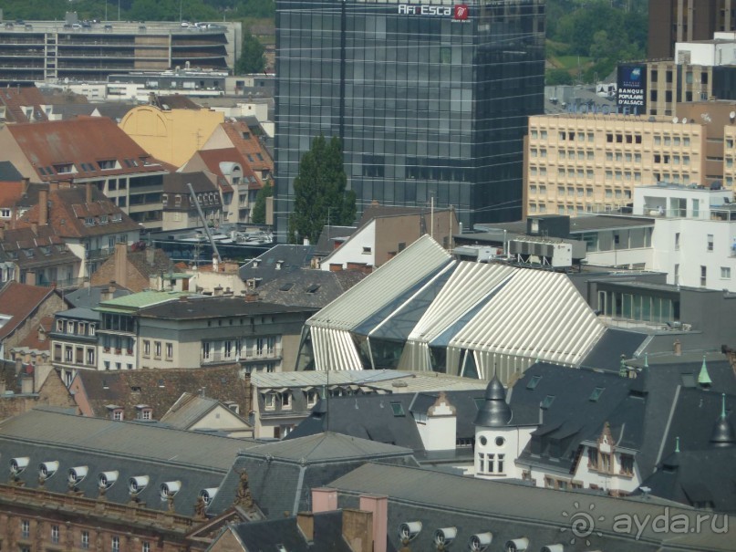 Каков на вкус Страсбургский пирог?