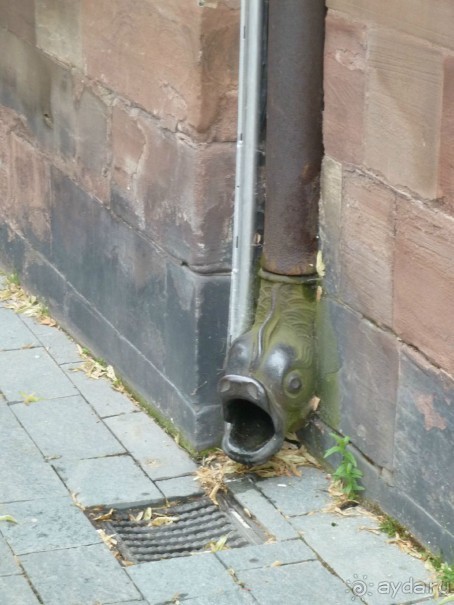 Каков на вкус Страсбургский пирог?