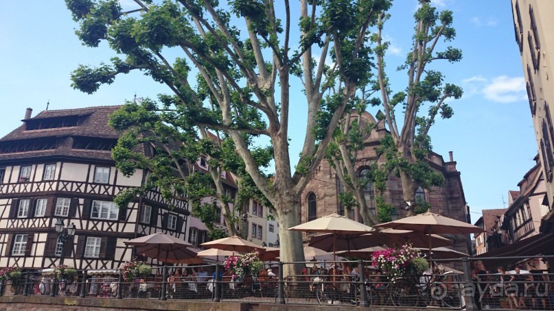 Каков на вкус Страсбургский пирог?