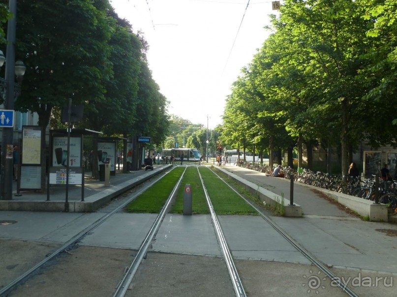 Каков на вкус Страсбургский пирог?