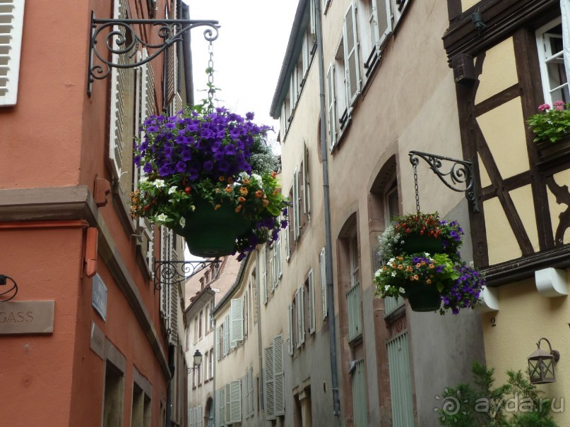 Каков на вкус Страсбургский пирог?