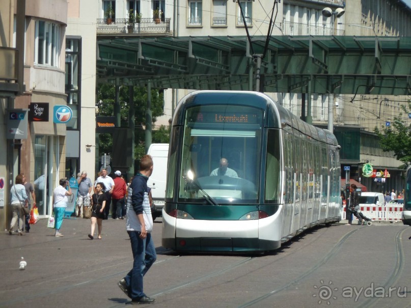 Каков на вкус Страсбургский пирог?