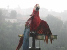 Отдых на Амальфитанском побережье около Сорренто