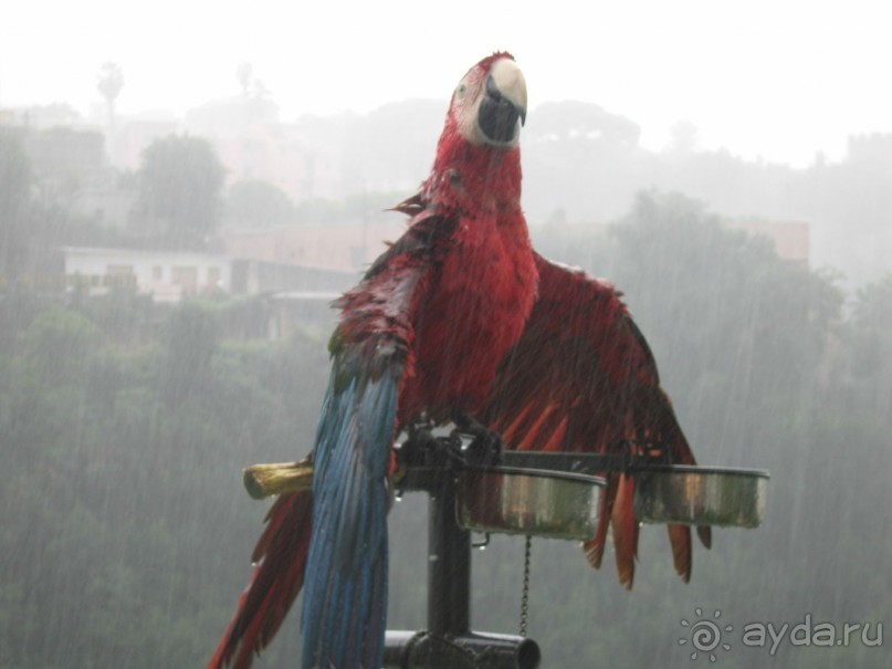 Отдых на Амальфитанском побережье около Сорренто