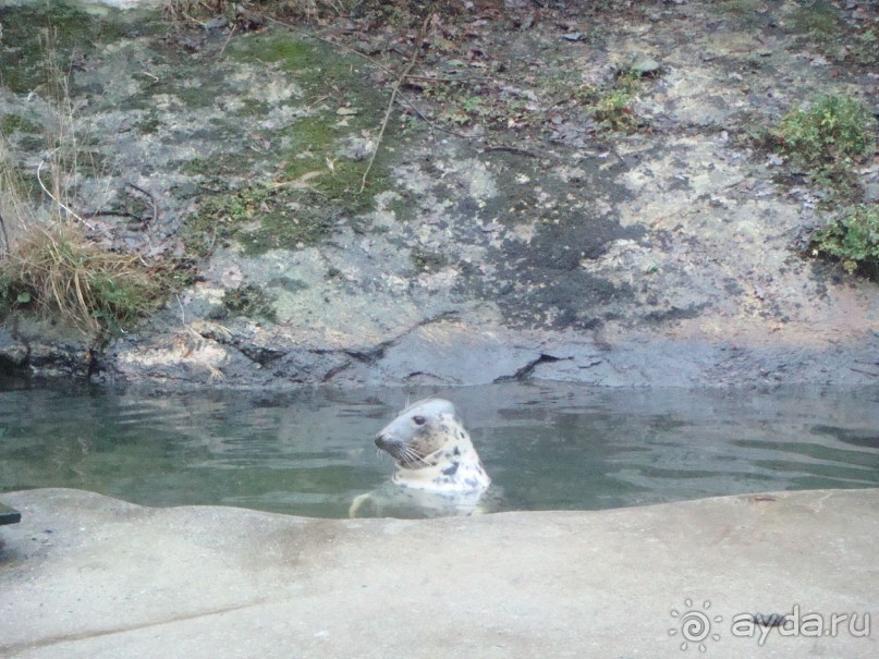 Рождество в Стокгольме. Без снега - но с позитивом.