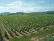 Эльзаские окрестности.Один город и один замок. Селеста и Верхний Кенигсбург.