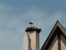 Эльзаские окрестности.Один город и один замок. Селеста и Верхний Кенигсбург.