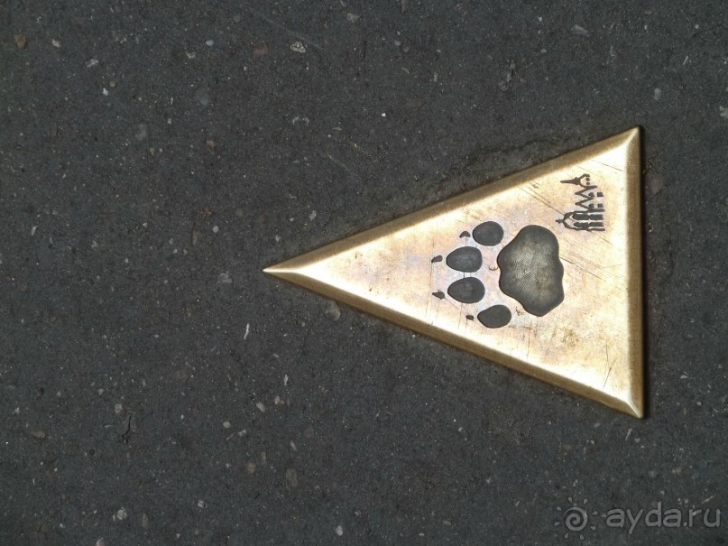 Эльзаские окрестности.Один город и один замок. Селеста и Верхний Кенигсбург.