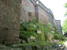 Эльзаские окрестности.Один город и один замок. Селеста и Верхний Кенигсбург.