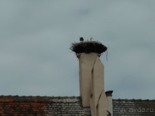 Эльзаские окрестности.Один город и один замок. Селеста и Верхний Кенигсбург.