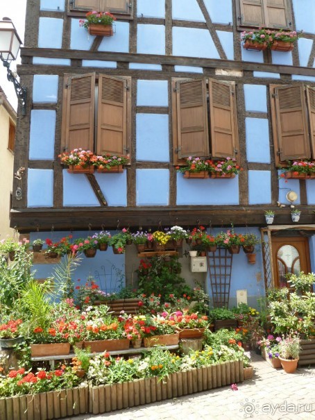 Эльзаские окрестности.Один город и один замок. Селеста и Верхний Кенигсбург.