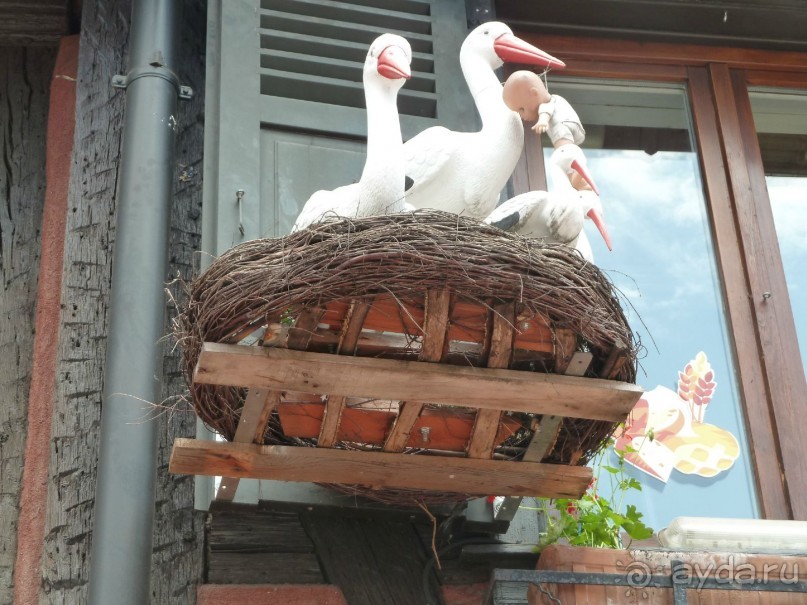 Эльзаские окрестности.Один город и один замок. Селеста и Верхний Кенигсбург.